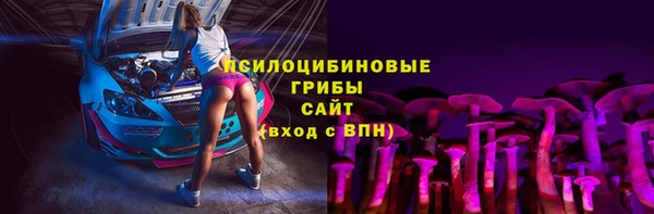 apvp Алексин