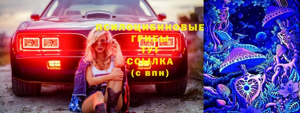 стафф Алексеевка