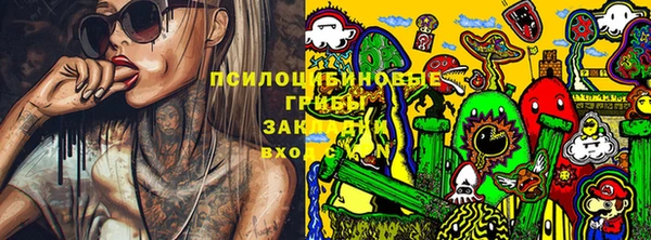стафф Алексеевка