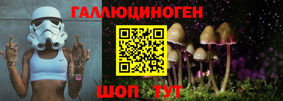 Рязань  Галлюциногенные грибы прущие грибы  Вход с VPN  Псилоцибиновые грибы Psilocybine cubensis 