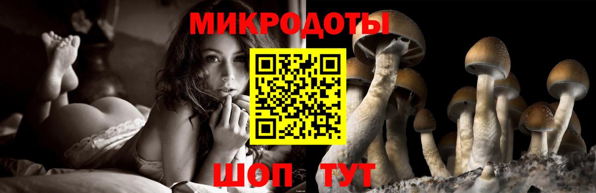 Галлюциногенные грибы GOLDEN TEACHER Рязань